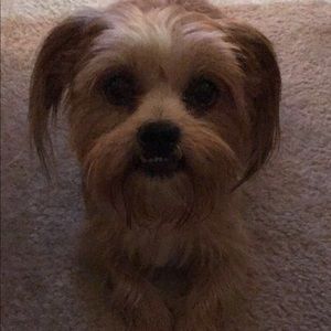 Meet your Posher, Andrea